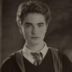 cedric diggory